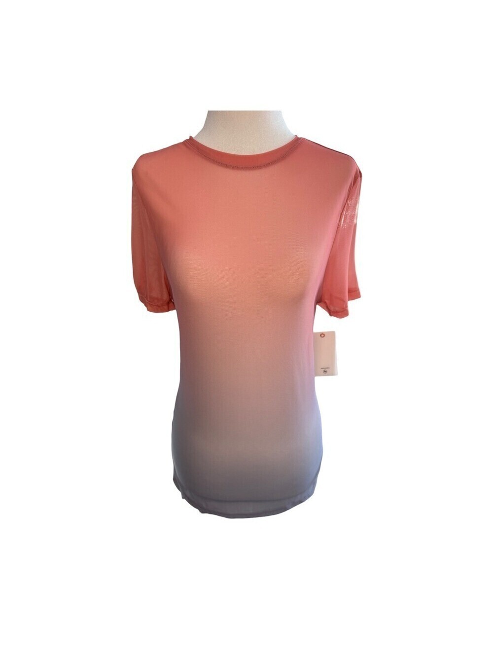Good American Pink to Gray Ombre Short Sleeve Tee